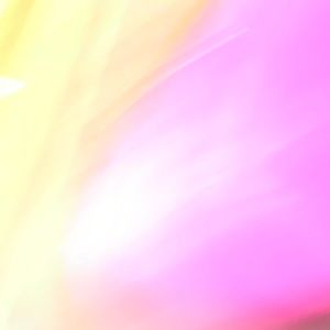 Meet your Posher, Gabriella